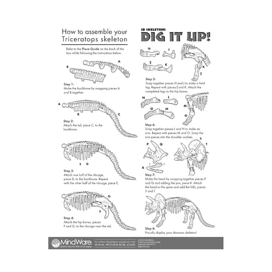 Dig It Up! Dino Model: Triceratops Michaels - Main Image